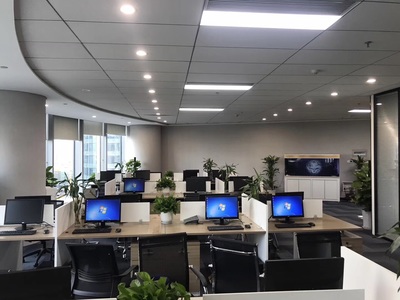 深耕區(qū)域，洞察市場 浙江杭鑫經(jīng)濟(jì)信息咨詢的市場調(diào)查實(shí)踐與價(jià)值